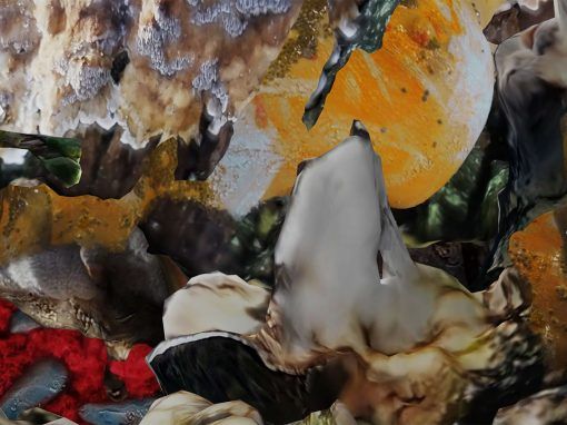 Fragmented Delicacies