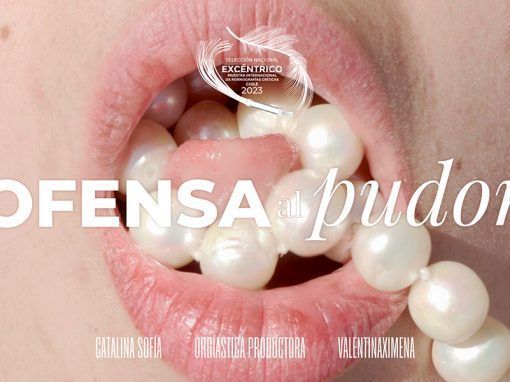 Ofensa al pudor