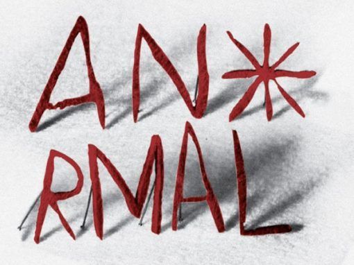 Festival An*rmal (México)