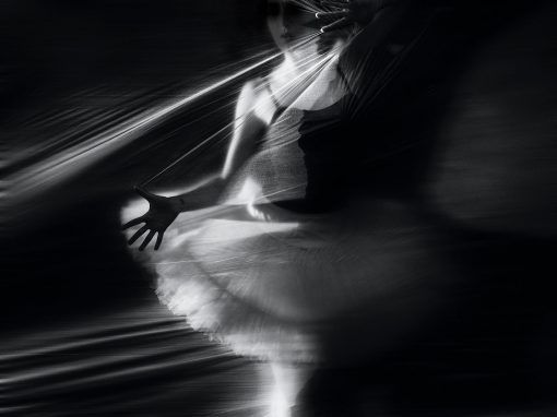 THE BALLET OF MADNESS