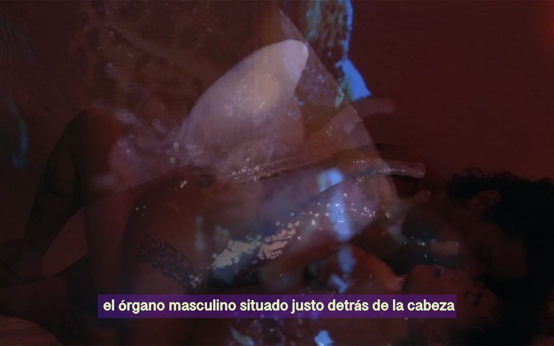 Apareamiento de Limax maximus