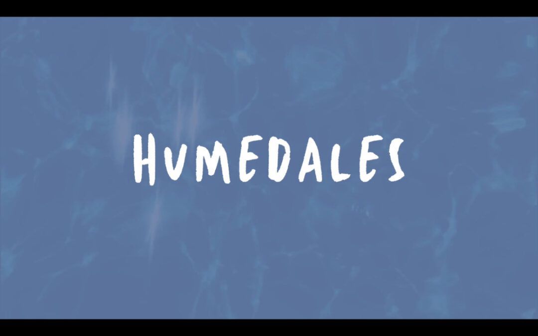 Humedales