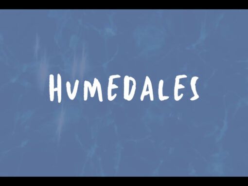 Humedales