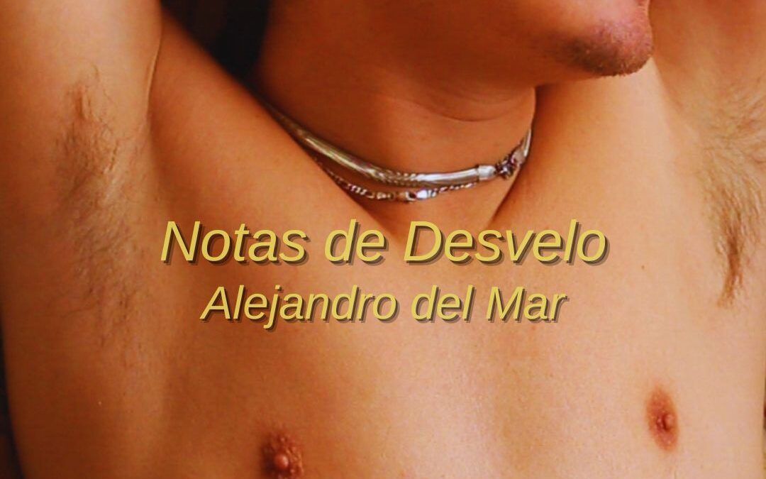 Notas de Desvelo