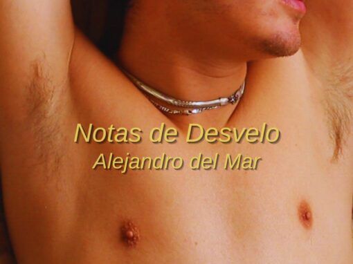 Notas de Desvelo