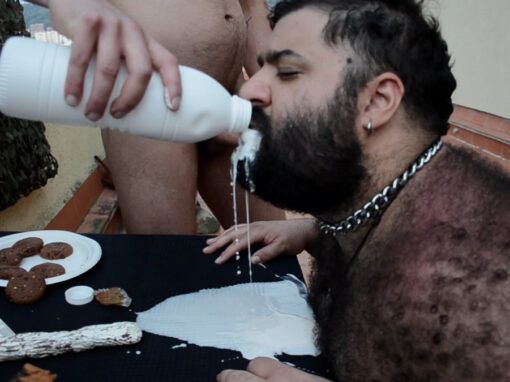 (NO)ALIMENTAR AL OSO