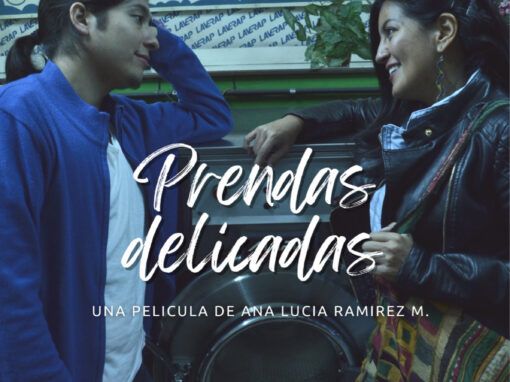 Prendas Delicadas