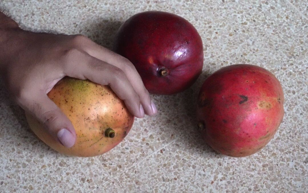 Calentura frutal