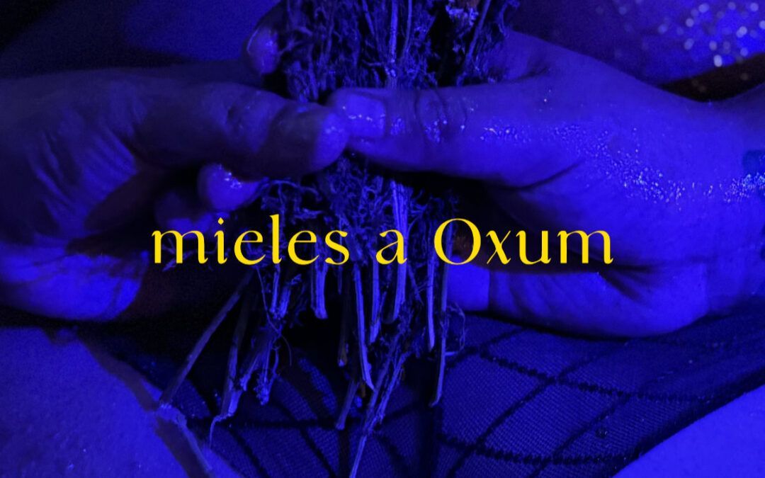 Mieles a Oxum