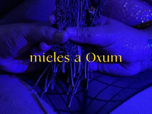 Mieles a Oxum