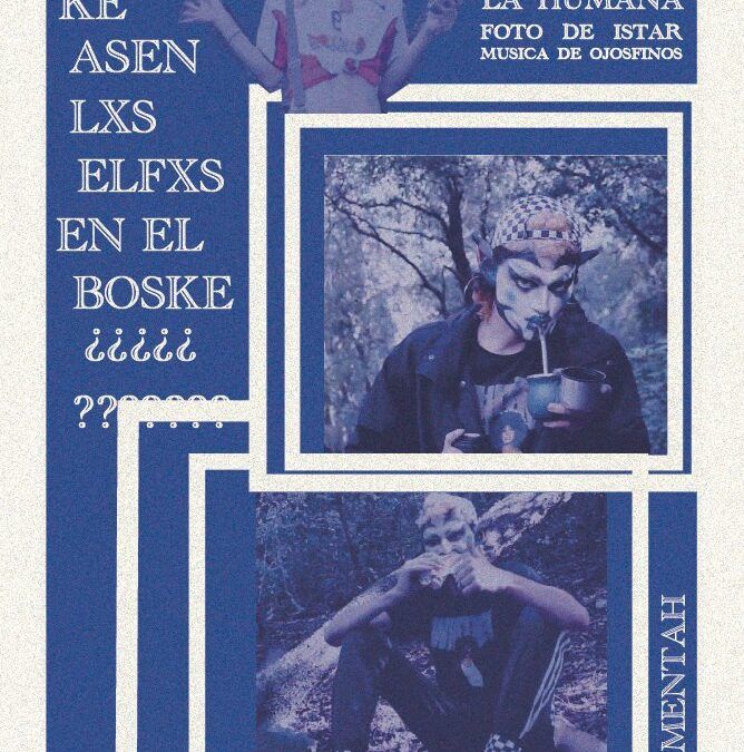 KE ASEN LXS ELFXS EN EL BOSKE