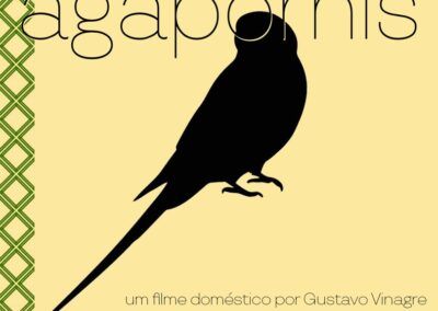 AGAPORNIS