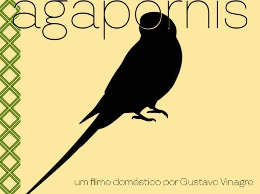 AGAPORNIS