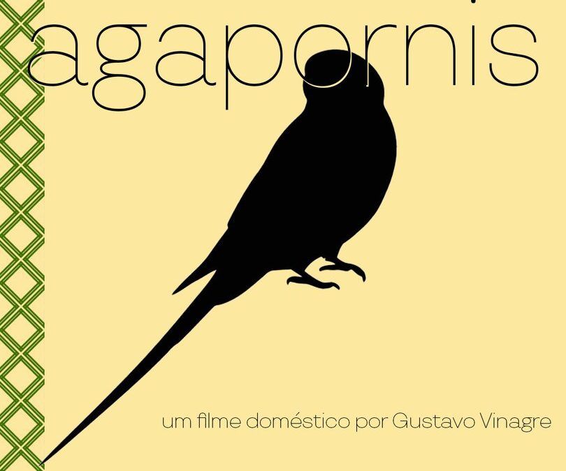 AGAPORNIS